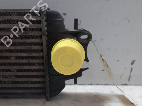 Used Intercooler Intercooler RENAULT MASTER II Van (FD) 2.5 dCi 120 (FD0M, FD0U, FD0W, FD2M, FD2W, FD3M, FD3U,... (115 hp) 28751306 28751306