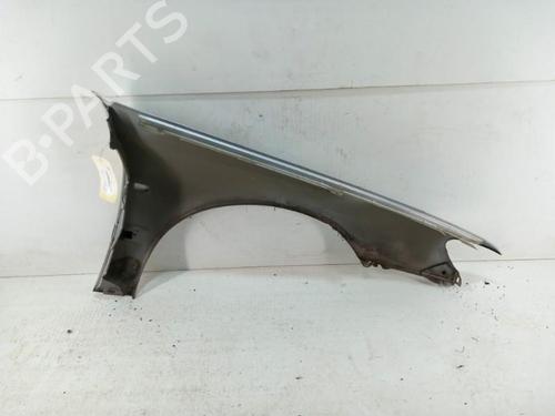 Left front fenders PEUGEOT 406 (8B) 2.0 HDI 110 | BP28784149C41 