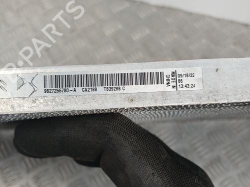 Used AC radiator AC radiator PEUGEOT 208 II (UB_, UP_, UW_, UJ_) e-208 (136 hp) 29844004 29844004