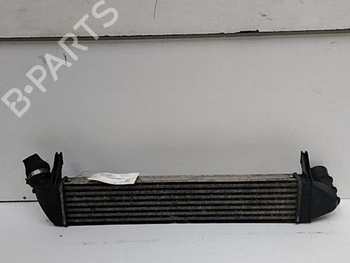 Used Intercooler Intercooler DACIA SANDERO 1.5 dCi (68 hp) 28785175 28785175