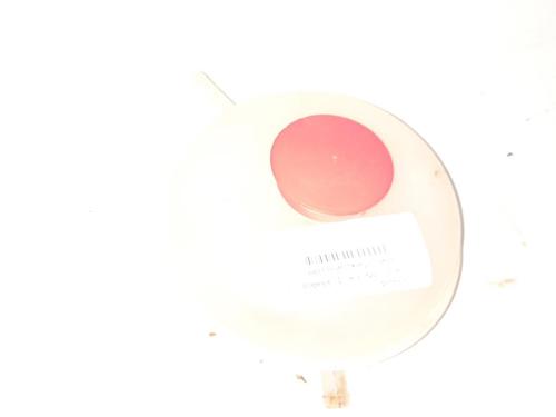 Used Expansion tank LAND ROVER FREELANDER I (L314) 2.0 DI 4x4 (98 hp) 28758619