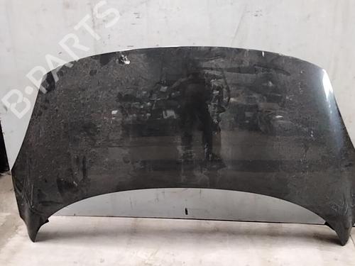 Used Hood RENAULT SCÉNIC III (JZ0/1_) 1.5 dCi (110 hp) 28760210
