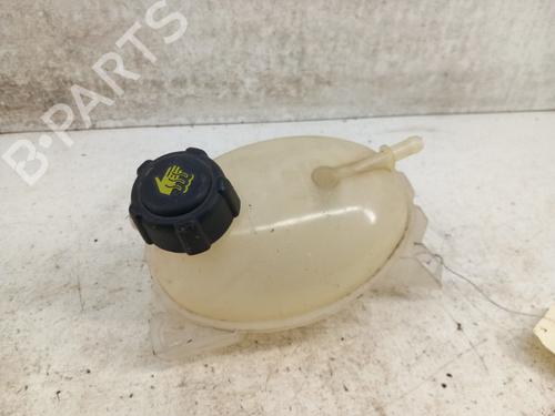 Used Expansion tank DACIA SANDERO II 1.0 SCe 75 (B8JC, B8JD, B8NC) (73 hp) 28781099