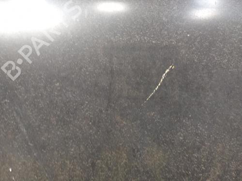 Hood RENAULT CLIO I (B/C57_, 5/357_) 1.2 (5/357Y, 5/357K) | BP28788419C1 