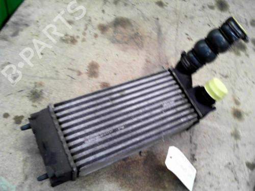 Used Intercooler PEUGEOT 3008 I MPV (0U_) 1.6 HDi (109 hp) 28792435