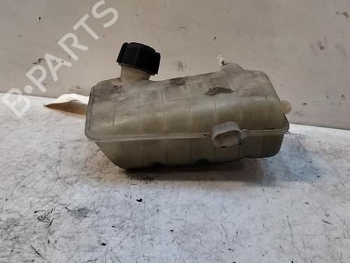 Expansion tank RENAULT SCÉNIC II (JM0/1_) 1.9 dCi (JM0G, JM12, JM1G, JM2C) | BP28786291C120 