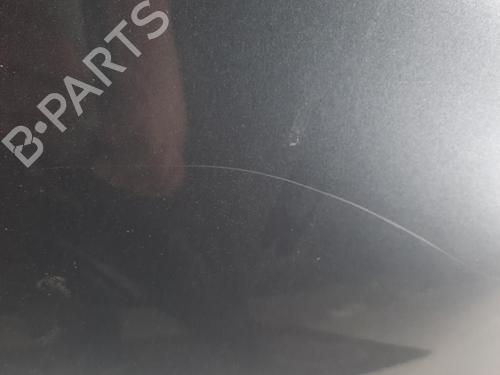 Used Right front fenders RENAULT SCÉNIC III (JZ0/1_) 1.5 dCi (110 hp) 28788659