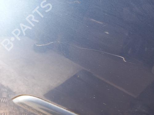 Left front door CITROËN C4 Picasso I MPV (UD_) 1.6 HDi | BP28757169C2 