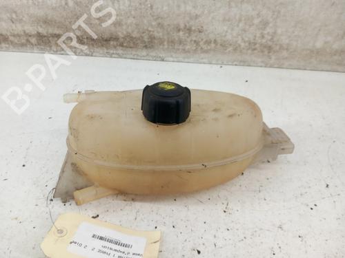 Used Expansion tank NISSAN PRIMASTAR Van (X83) 2.0 dCi 115 (114 hp) 28737835
