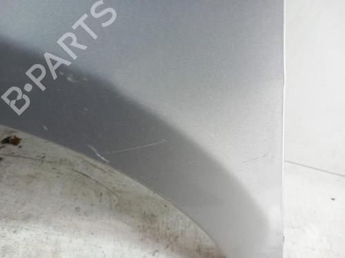Left front fenders FIAT IDEA (350_) 1.3 D Multijet | BP28783432C41 