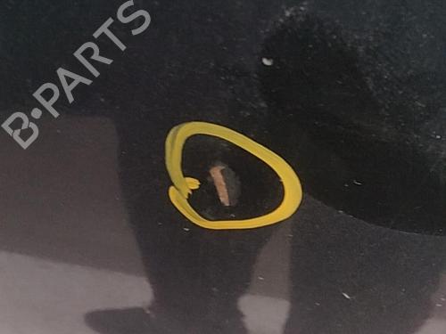 Capot Capot MAZDA 2 (DE_, DH_) 1.3 (DE3FS) (75 hp) 28790730 28790730