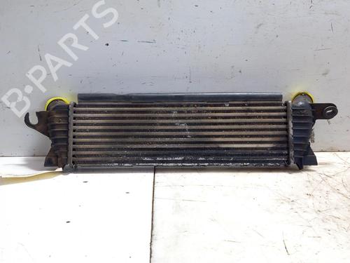 Intercooler RENAULT KANGOO (KC0/1_) 1.9 dCi 4x4 (KC0V) | BP28762229M30 - Image 2