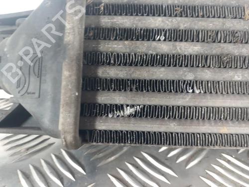 Used Intercooler FIAT GRANDE PUNTO (199_) 1.3 D Multijet (75 hp) 28740606
