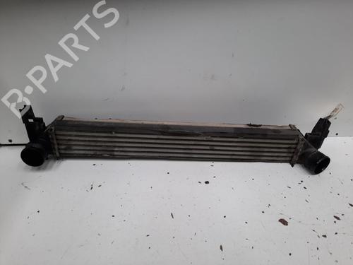 Used Intercooler VW POLO V (6R1, 6C1) 1.6 TDI (90 hp) 28791407