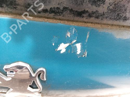 Tailgate PEUGEOT 207 (WA_, WC_) 1.6 HDi | BP28781753C6 