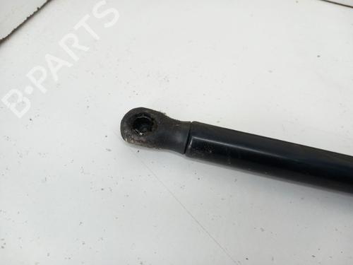 hood-lift-support-audi-a5-8t3-2007-2008-2009-2010-2011-2012-2013-2014-2015-2016-2017-28783203 main image