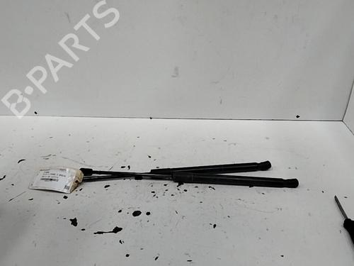 Used Tailgate lift support RENAULT CLIO III Grandtour (KR0/1_) 1.5 dCi (KR0G) (68 hp) 28753744