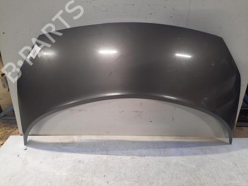 Panser Panser RENAULT GRAND SCÉNIC II (JM0/1_) 1.9 dCi (JM0G, JM12, JM1G, JM2C) (120 hp) 28758421 28758421