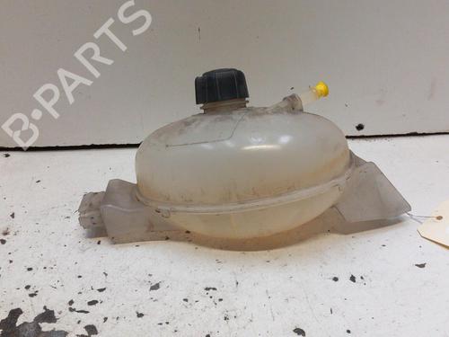 Used Expansion tank OPEL MOVANO B Van (X62) 2.3 CDTI FWD (FV) (136 hp) 28793922