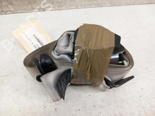 Used Rear left belt tensioner RENAULT SCÉNIC III (JZ0/1_) 1.5 dCi (JZ02, JZ0R) (95 hp) 28738538