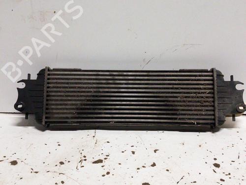Used Intercooler RENAULT TRAFIC II Van (FL) 1.9 dCi 80 (FL0B) (82 hp) 28748512