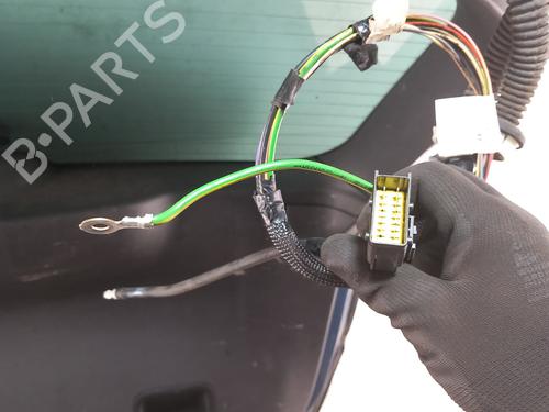 Tailgate CITROËN C4 Picasso I MPV (UD_) 1.6 HDi 110 | BP28737413C6 