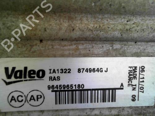 Used Intercooler Intercooler PEUGEOT PARTNER MPV (5_, G_) 2.0 HDI (90 hp) 28755151 28755151