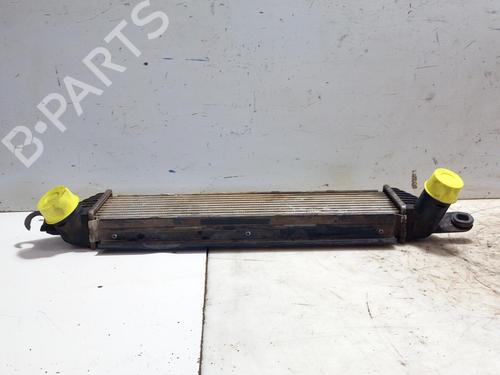 Used Intercooler RENAULT KANGOO (KC0/1_) 1.9 dCi 4x4 (KC0V) (80 hp) 28762229