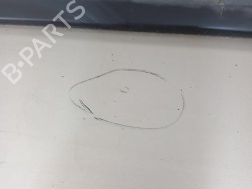 Left front door CITROËN NEMO Box Body/MPV (AA_) 1.3 HDi 75 | BP28737559C2 