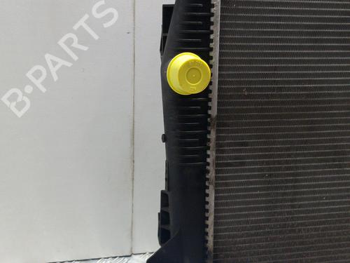 Used Water radiator Water radiator RENAULT MEGANE III Coupe (DZ0/1_) 1.9 dCi (DZ0N, DZ0J, DZ1J, DZ1K) (131 hp) 28773233 28773233