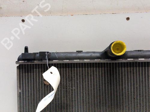 Used Water radiator CITROËN C5 III (RD_) 2.0 HDi 140 (RDRHF8, RDRHFA, RDRHA8, RDRHAJ) (140 hp) 28785741