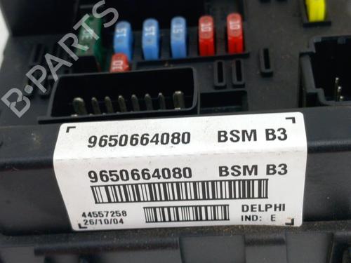 Used Fuse box Fuse box PEUGEOT 206 CC (2D) 1.6 16V (2DNFUF, 2DNFUR) (109 hp) 28768976 28768976