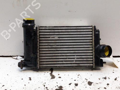 Intercooler RENAULT GRAND SCÉNIC IV (R9_) 1.5 dCi 110 (R9A3) | BP28751732M30