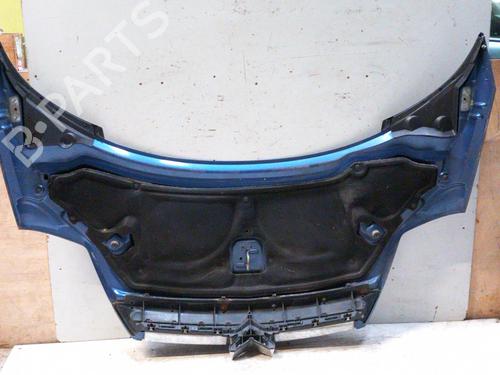 Hood CITROËN C8 (EA_, EB_) 2.0 HDi 165 | BP28758964C1 
