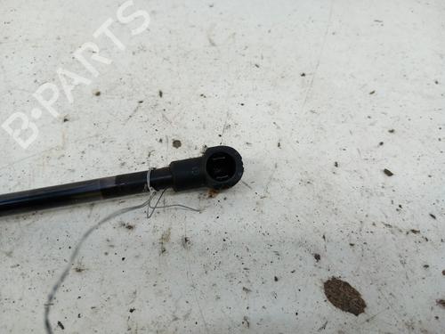 Tailgate lift support PEUGEOT 107 (PM_, PN_) 1.0 | BP28780468C138