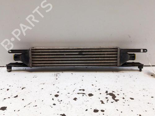 Intercooler ALFA ROMEO MITO (955_) 1.3 MultiJet (955AXP1A, 955AYC1A) (95 hp) 28748373