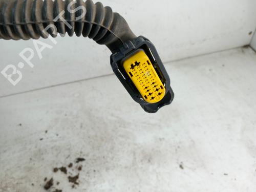 Left rear door RENAULT CLIO III (BR0/1, CR0/1) 1.5 dCi (C/BR0G, C/BR1G) | BP28737947C4 
