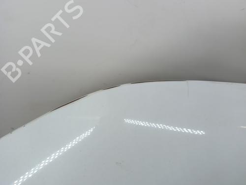 Left front fenders FORD TRANSIT CONNECT (P65_, P70_, P80_) 1.8 TDCi | BP29473505C41 