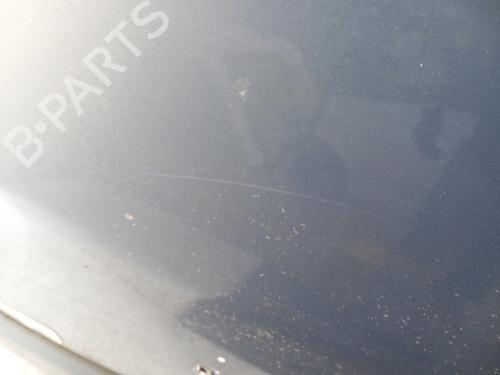 Tailgate RENAULT ESPACE IV (JK0/1_) 2.2 dCi (JK0H) | BP28781646C6 