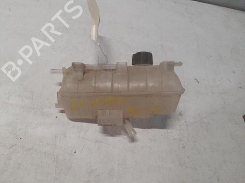 Used Expansion tank RENAULT KANGOO Express (FW0/1_) 1.5 dCi 90 (FW0G, FW05, FW08, FW11) (90 hp) 28765377
