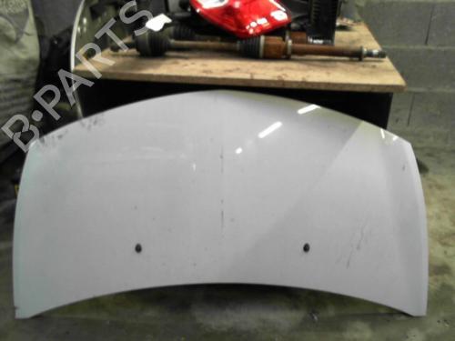 Hood RENAULT CLIO III (BR0/1, CR0/1) 1.5 dCi (C/BR0G, C/BR1G) | BP28755310C1 