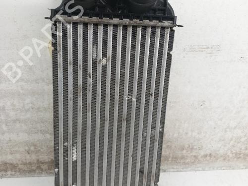 Intercooler PEUGEOT 208 II (UB_, UP_, UW_, UJ_) 1.5 BlueHDI 100 | BP28733970M30