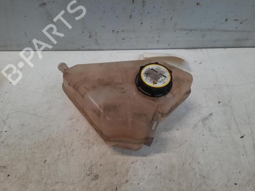 Used Expansion tank FORD FIESTA VI (CB1, CCN) 1.25 (82 hp) 28750444