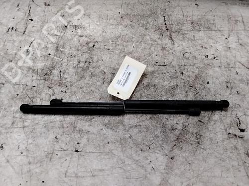 Used Tailgate lift support RENAULT MEGANE III Hatchback (BZ0/1_, B3_) 1.5 dCi (BZ09, BZ0D, BZ1W, BZ29, BZ14) (110 hp) 28760453