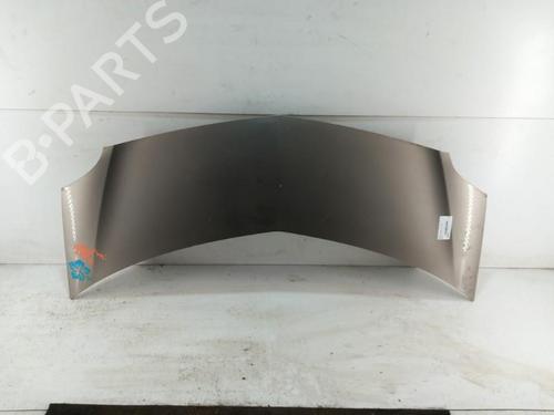 hood-renault-modus-grand-modus-fjp0_-2004-28746973 main image
