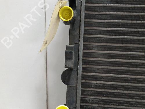 Used Water radiator RENAULT CLIO II (BB_, CB_) 1.2 (BB0A, BB0F, BB10, BB1K, BB28, BB2D, BB2H, CB0A,... (58 hp) 28773077