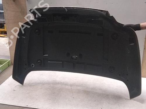 Tailgate RENAULT MEGANE II Coupé-Cabriolet (EM0/1_) 1.9 dCi | BP28764425C6 