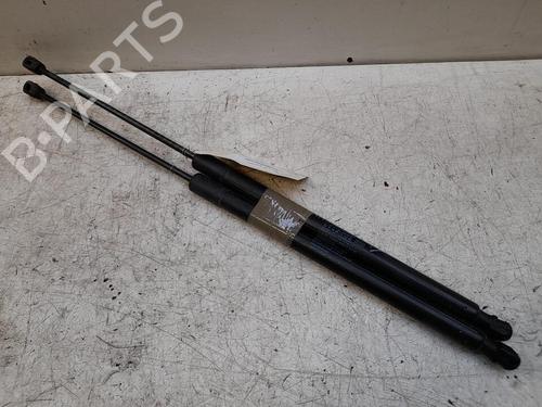 Used Tailgate lift support FIAT TIPO Hatchback (356_, 357_) 1.6 D (356HXG1B, 356HXG11) (120 hp) 28771391