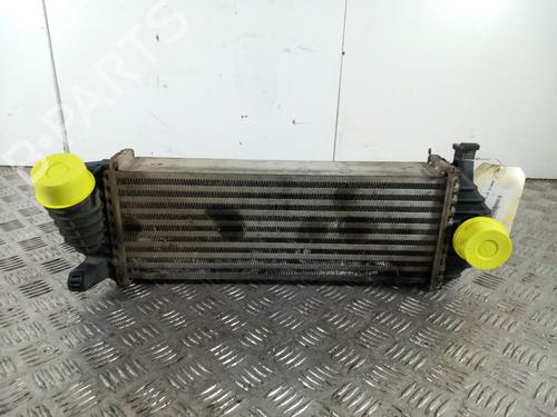 Used Intercooler RENAULT KANGOO / GRAND KANGOO II (KW0/1_) 1.5 dCi 90 (KW05, KW08, KW0G, KW11) (90 hp) 28744351
