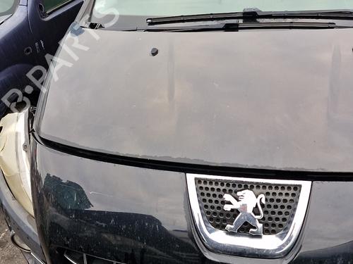 Used Parts PEUGEOT 3008 I MPV (0U_)  1.6 HDi  4562099